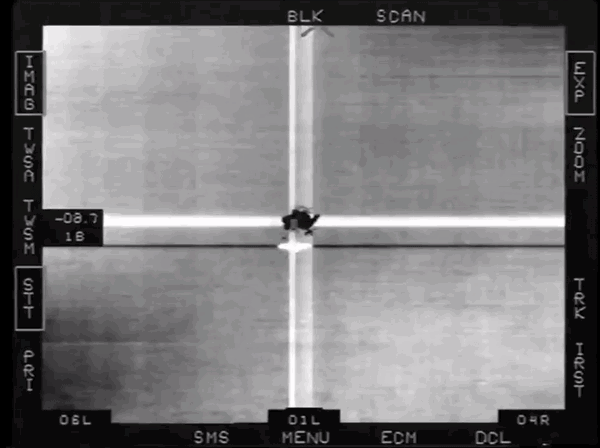 F-14irst.gif