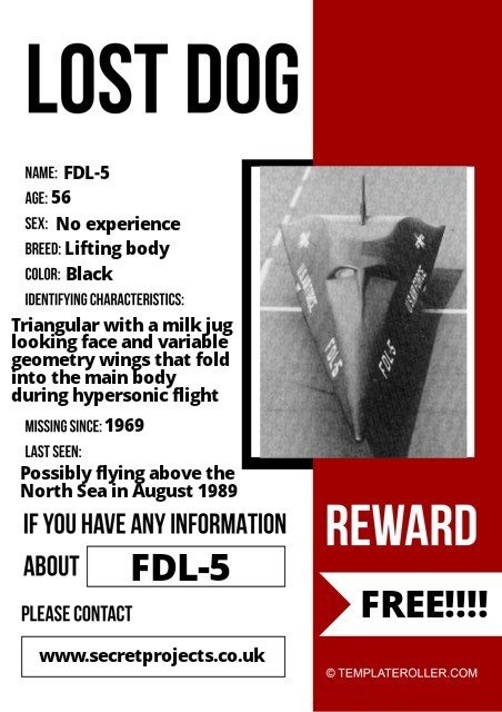 FDL-5 Missing Poster.jpg