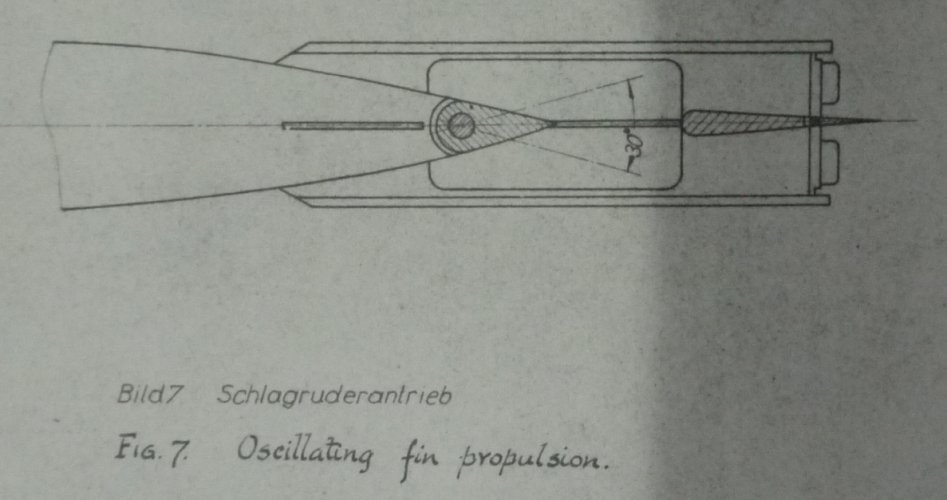 Flapping propulsion.jpg
