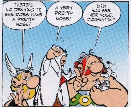 asterix_v6_cleopatra_nose.jpeg