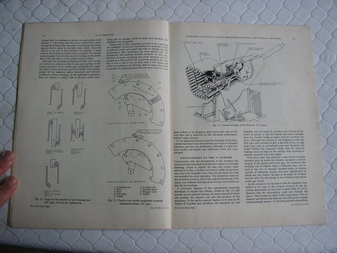 P1010006.JPG