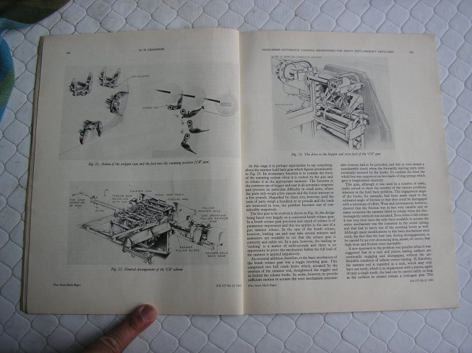 P1010011.JPG