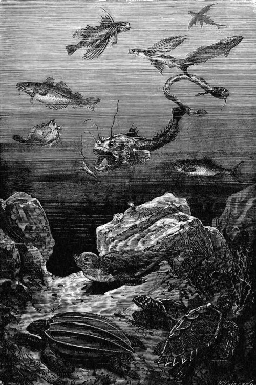 Alphonse de Neuville 20,000 Leagues Under the Sea c.1871 3.jpg
