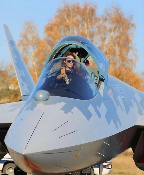 Su-57E without HUD.jpg