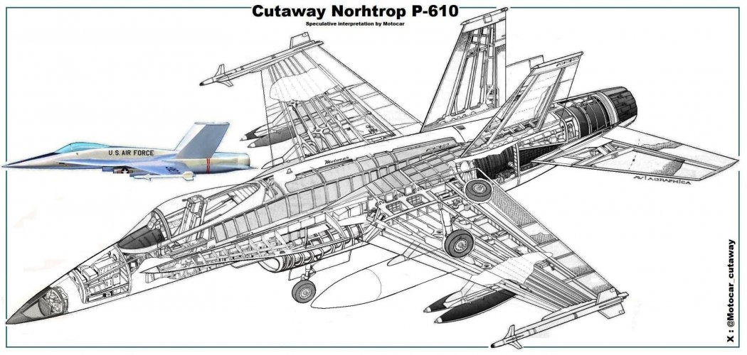 Cutaway Norhtrop P-610 previo - copia.jpg