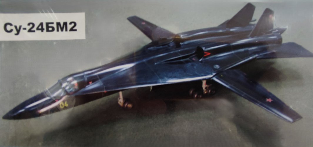 Su-24BM2 (T-60) (2).jpg