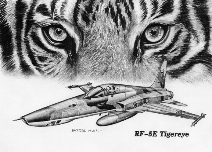 RF-5E Tigereye  .jpg