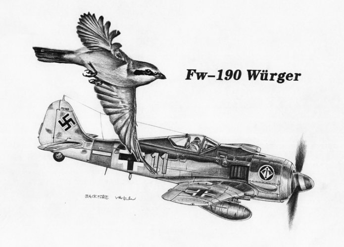 Fw190.jpg