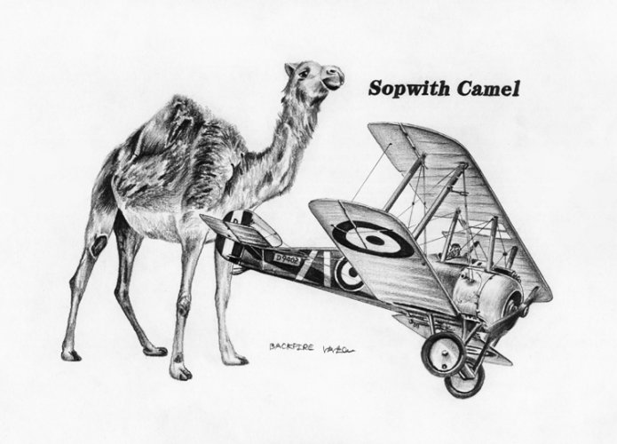 Sopwith Camel.jpg