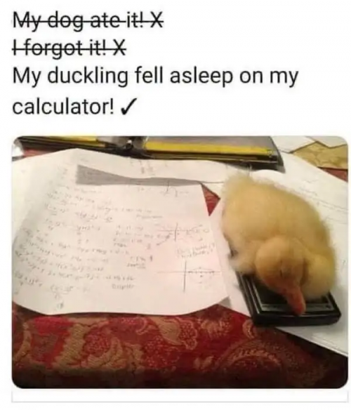 A classic excuse.png