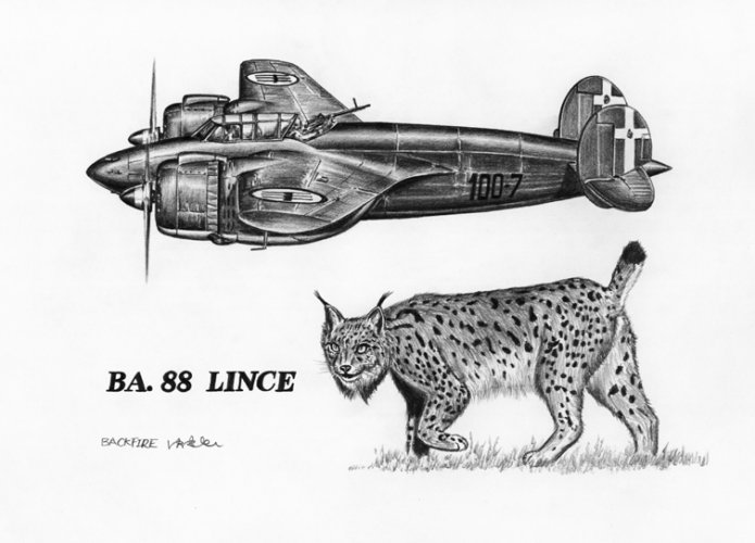 Breda Ba 88 Lince.jpg