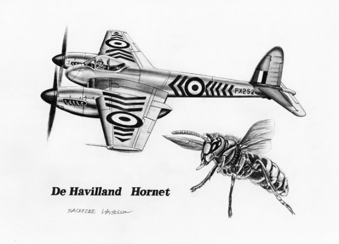 de havilland hornet .jpg