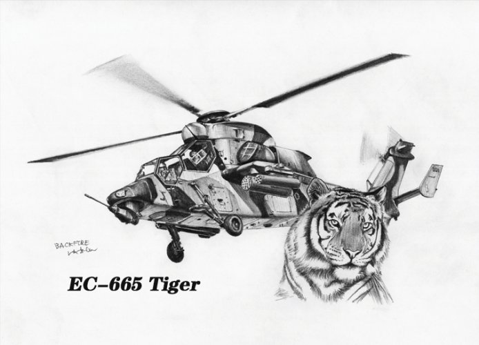 EC665 Tiger虎.jpg