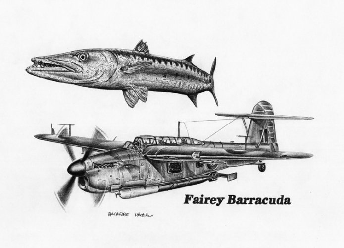 Fairey Barracuda.jpg