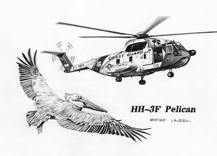 HH-3F pelican.jpg