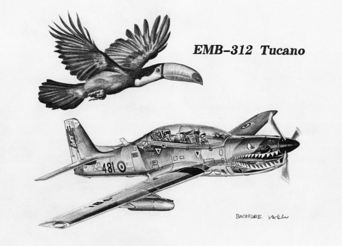 embraer EMB-312  Tucano.jpg
