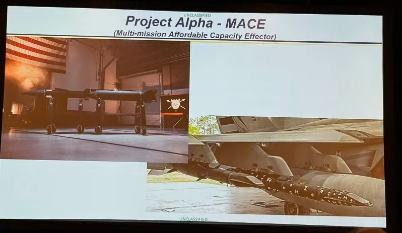 MACE project alpha.png