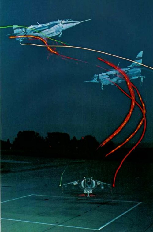 harrier.jpg