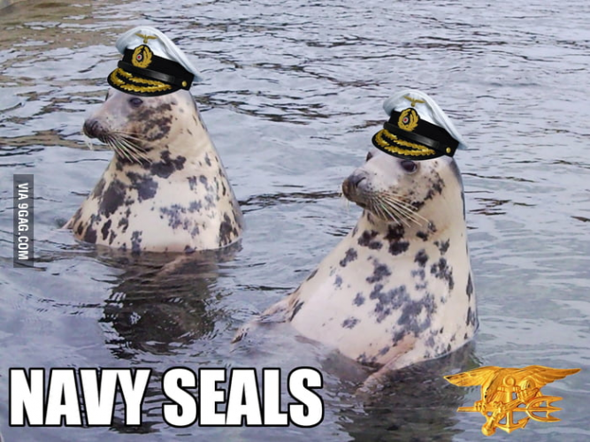 1788194480404.png
