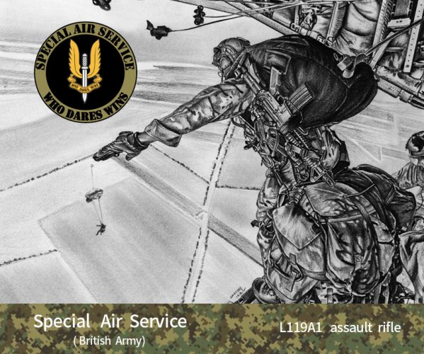 SAS.jpg
