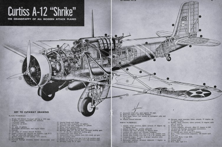 Curtiss A-12 Shrike - Walter Jefferies.jpg
