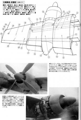 Japan-Xplanes_80.jpg