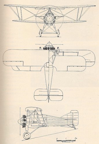 NAKAJIMA A1N1.jpg