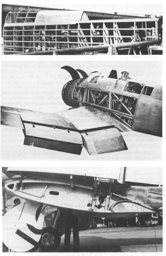 Blackburn B-48_pics.jpg