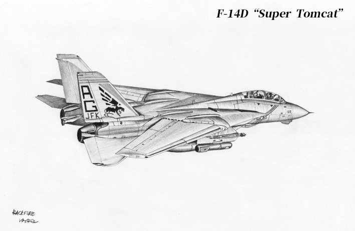 F14D.jpg