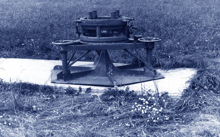 1790097646421.png