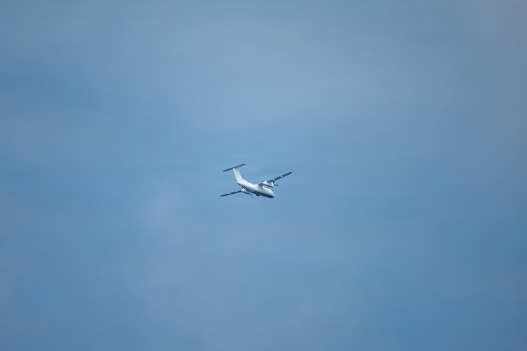 9942792.jpg