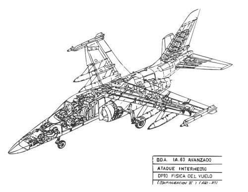 IA.63 Avanzado 1.jpg