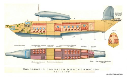 Be-18 passenger variant.jpg