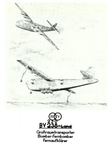 BV250.JPG