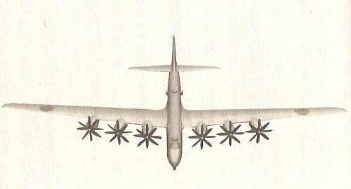 Z MODEL.jpg