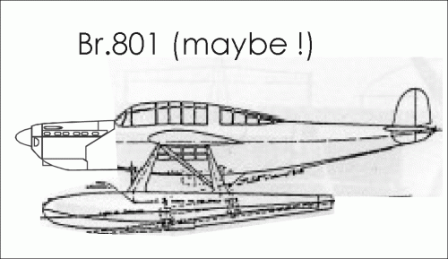 Br-801.GIF