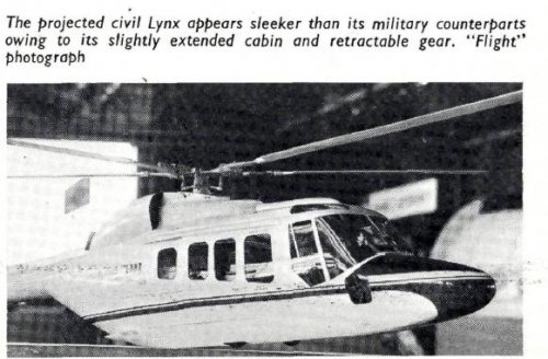 Lynx  1.JPG