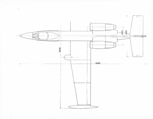 Aermacchi_COIN_172_bi_tail_2.jpg