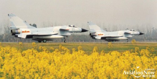 J-10A no. 01 + 05 + flowers.jpg