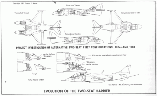 HARRIER.GIF