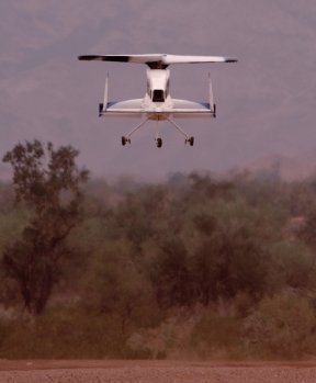 DragonflyFlight.jpg