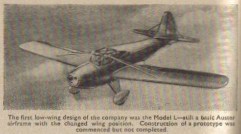 Auster L.jpg