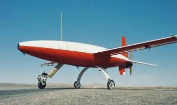 Leading Systems Gnat 400 BT (Basic Trainer).jpg