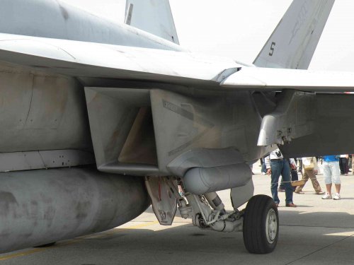 FA-18E AIR INTAKE.JPG