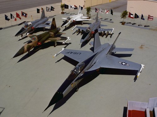 xNorthrop Fighter Family.jpg