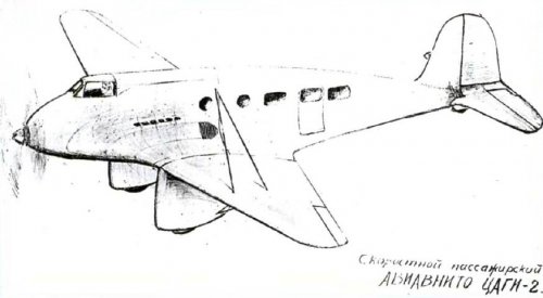 Aviavnito TsAGI-2 ris.jpg