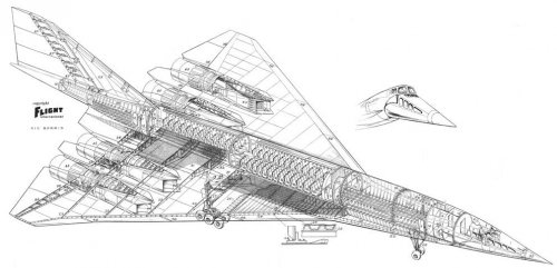 Douglas SST Cutaway.jpg