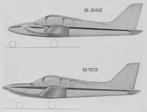 Beagle 242 and 123.png