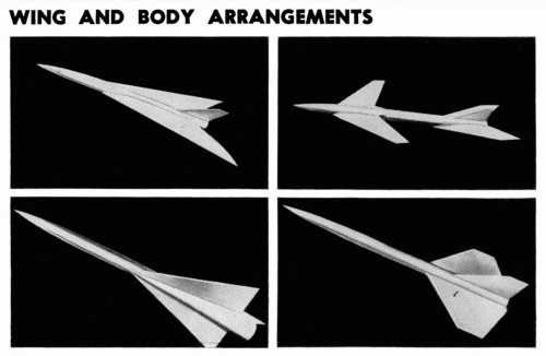 wingbody.gif