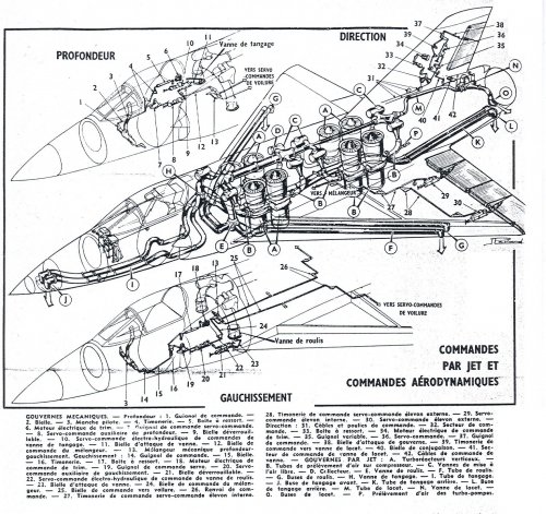 Escanear0006.jpg